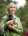 D. Jane Goodall