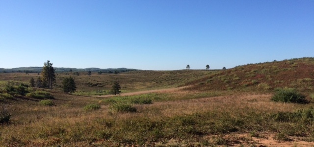 A view of the Moquah Barrens Research Natural Area, 2015.
